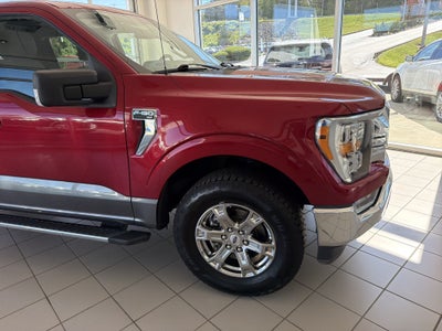 2021 Ford F-150 XL