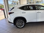 2026 Lexus NX NX 350 Premium